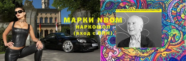 PSILOCYBIN Белокуриха